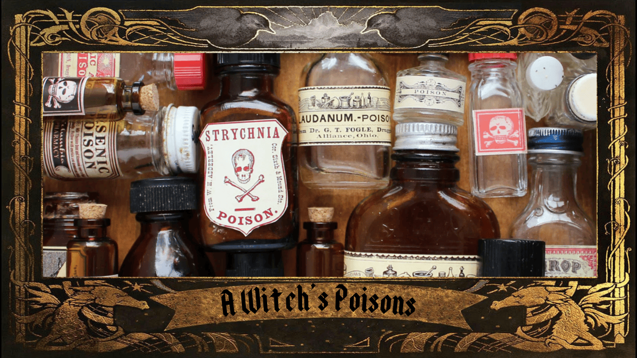A Witch’s Poisons – Year One