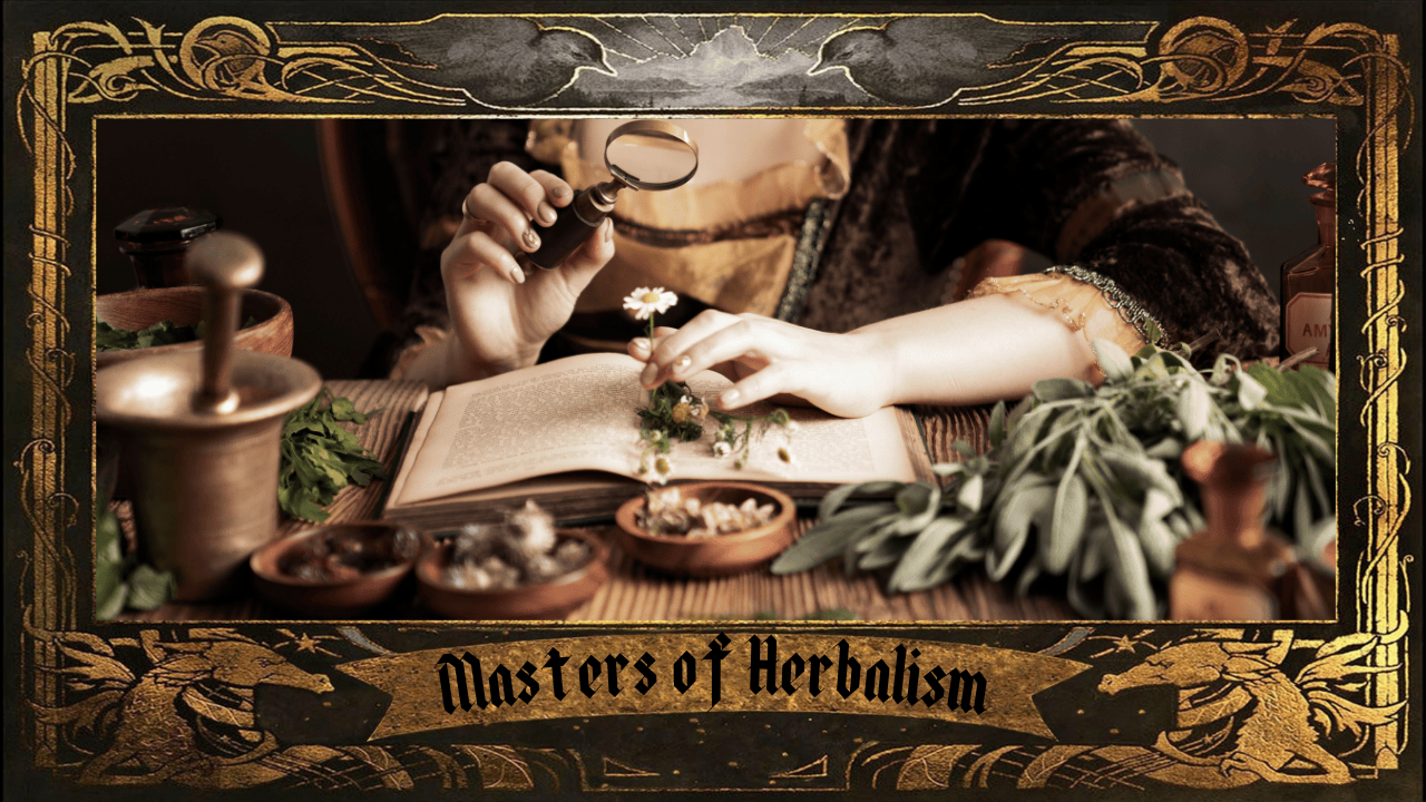 Mastery of Herbalism – Year One